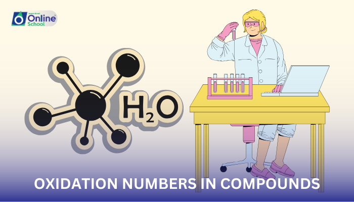 Lesson 07: Determining Oxidation Numbers in Compounds